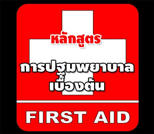 หลักสูตรการปฐมพยาบาลเบื้องต้น ( first  aid )